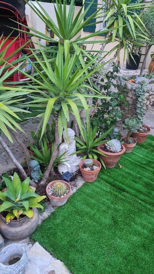 Site Paradis Rue Colibri Avignon Exterior foto